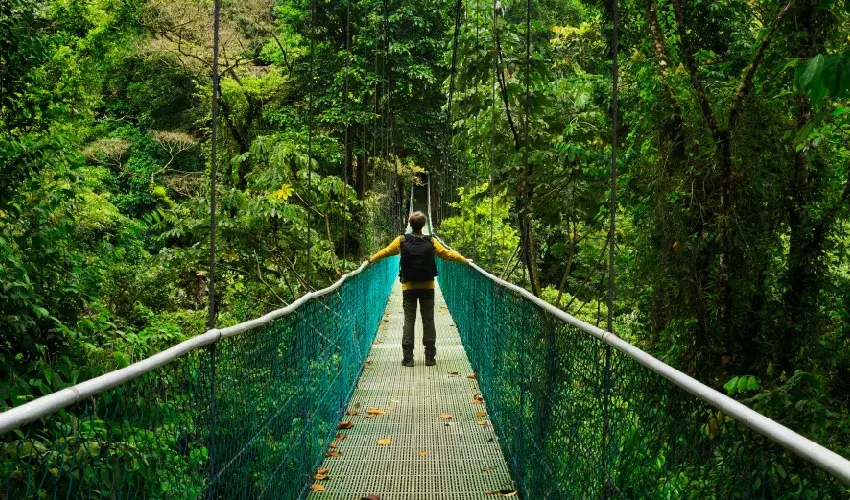 Viaje viaje-costa-rica-naturaleza-tvg-210
