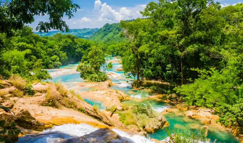 Viaje chiapas-palenque-merida-tvg-4506