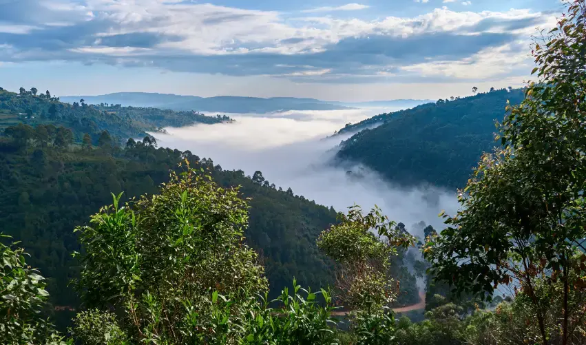 Viaje grandes-lagos-y-safari-de-gorilas-en-uganda-express