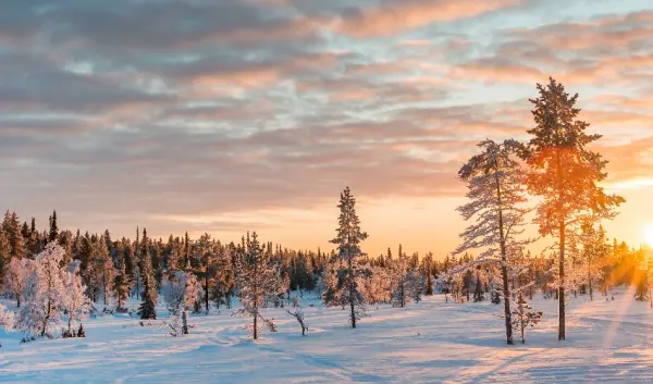 VIAJE VIAJE EUROPA FINLANDIA HELSINKI LAPONIA RUKA 5335