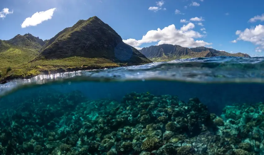 Viaje viaje-estados-unidos-honolulu-eeuu-5338
