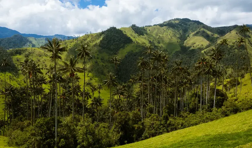 Viaje viaje-medellin-pereira-tvg-5541